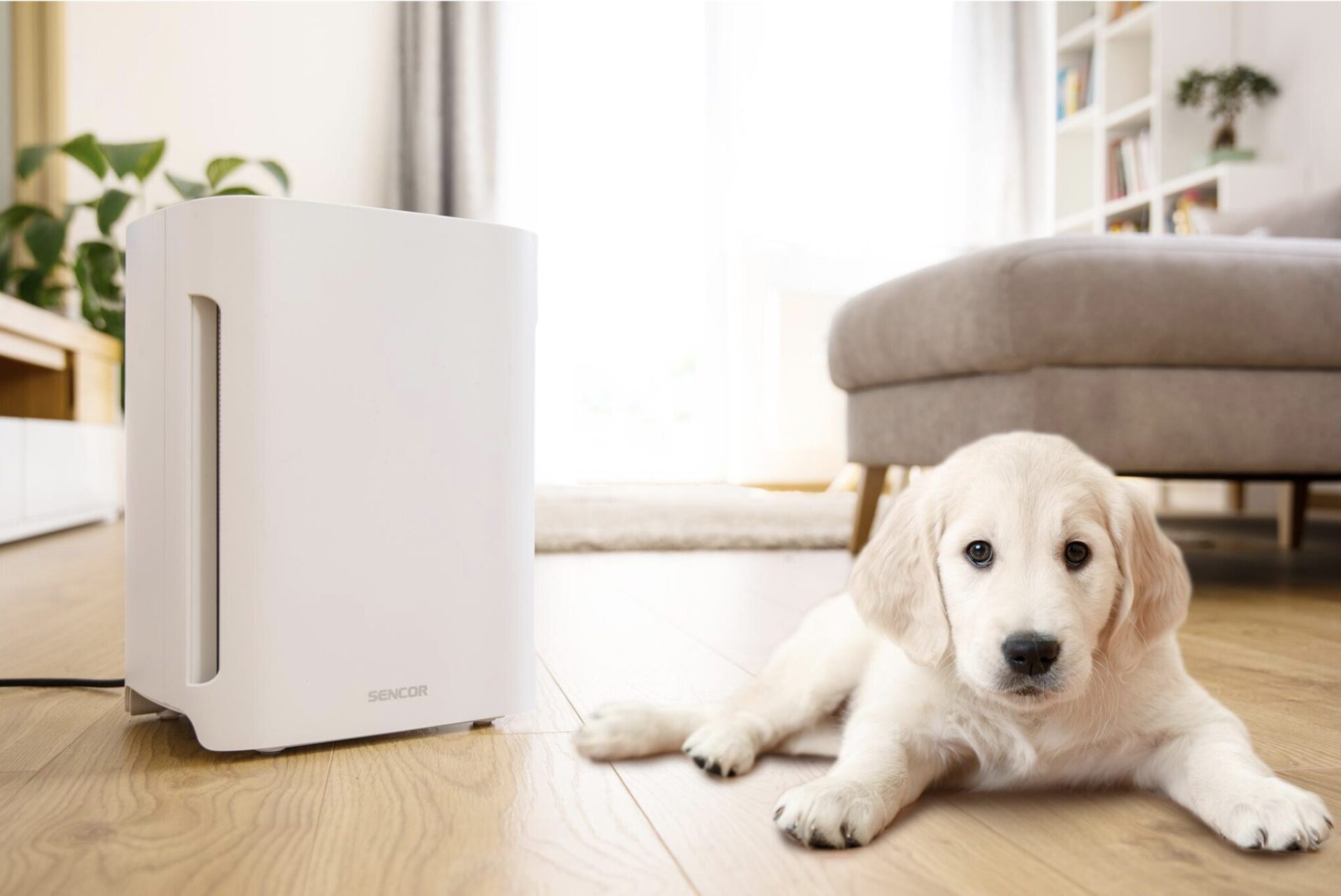 Recenzia čističky vzduchu Sencor SHA 6400WH-EUE3