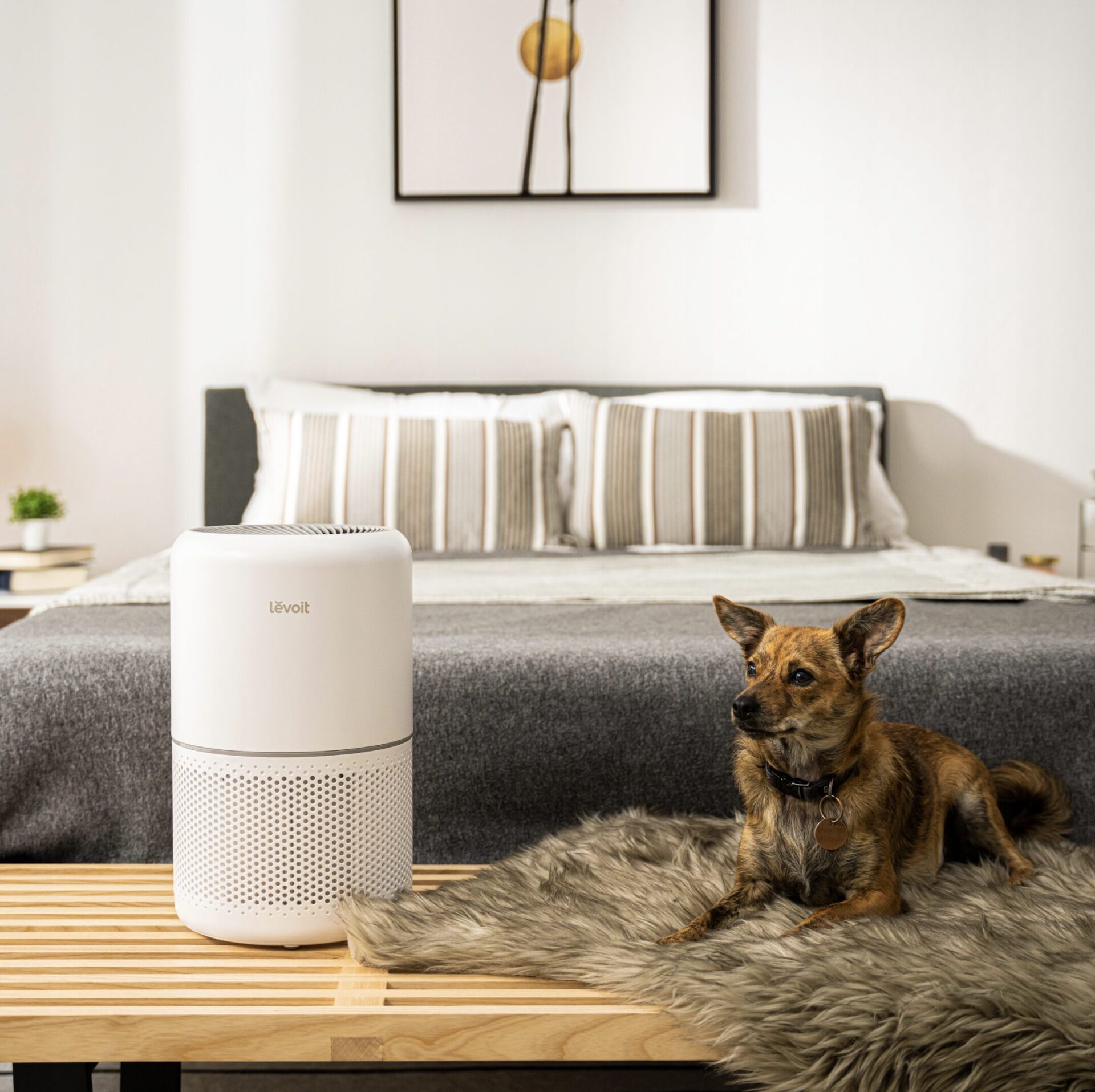 Recenzia modelu – Čistička vzduchu Levoit Core 300S SMART
